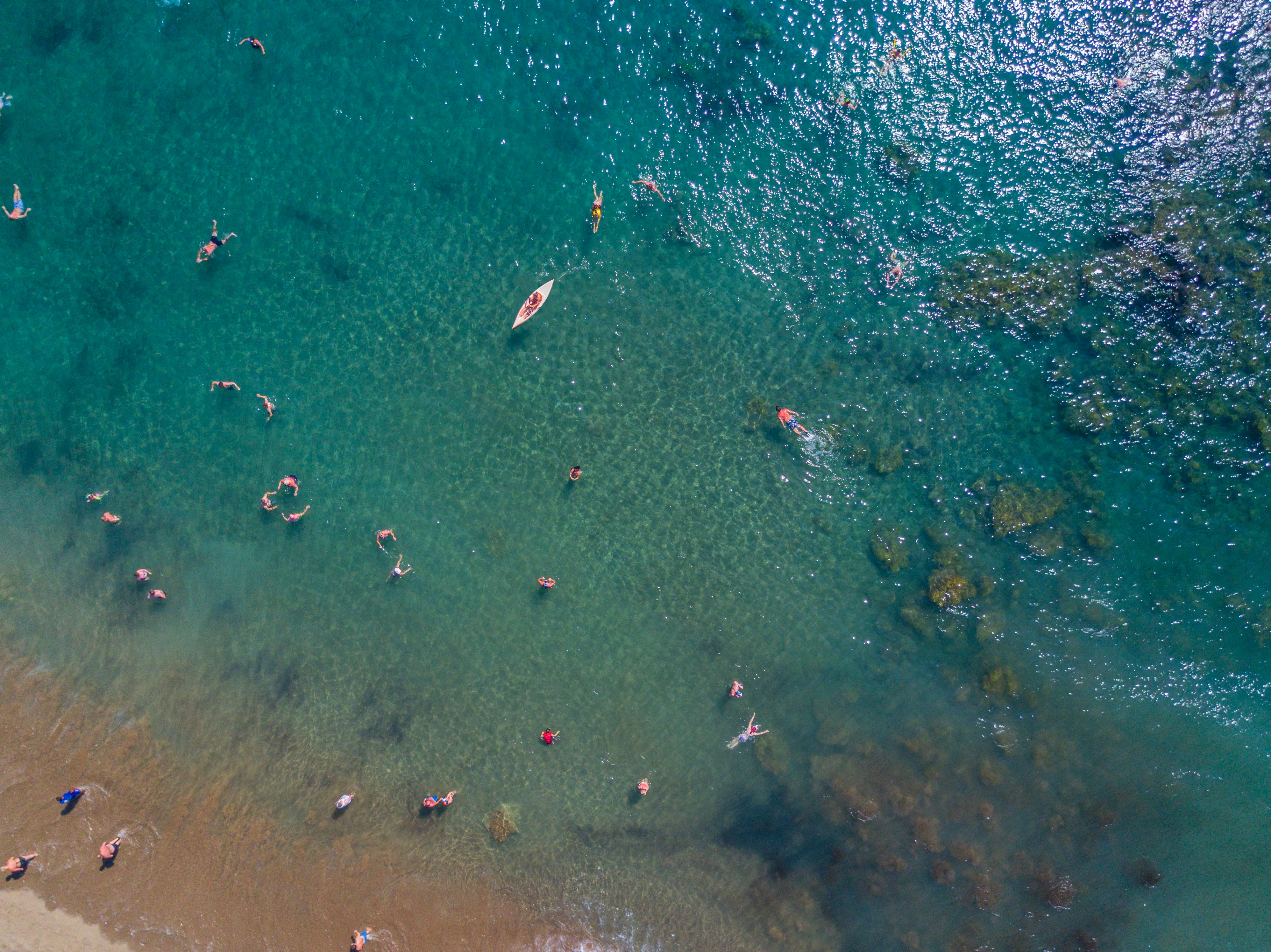 bird's eye photography of people swimming in ocean